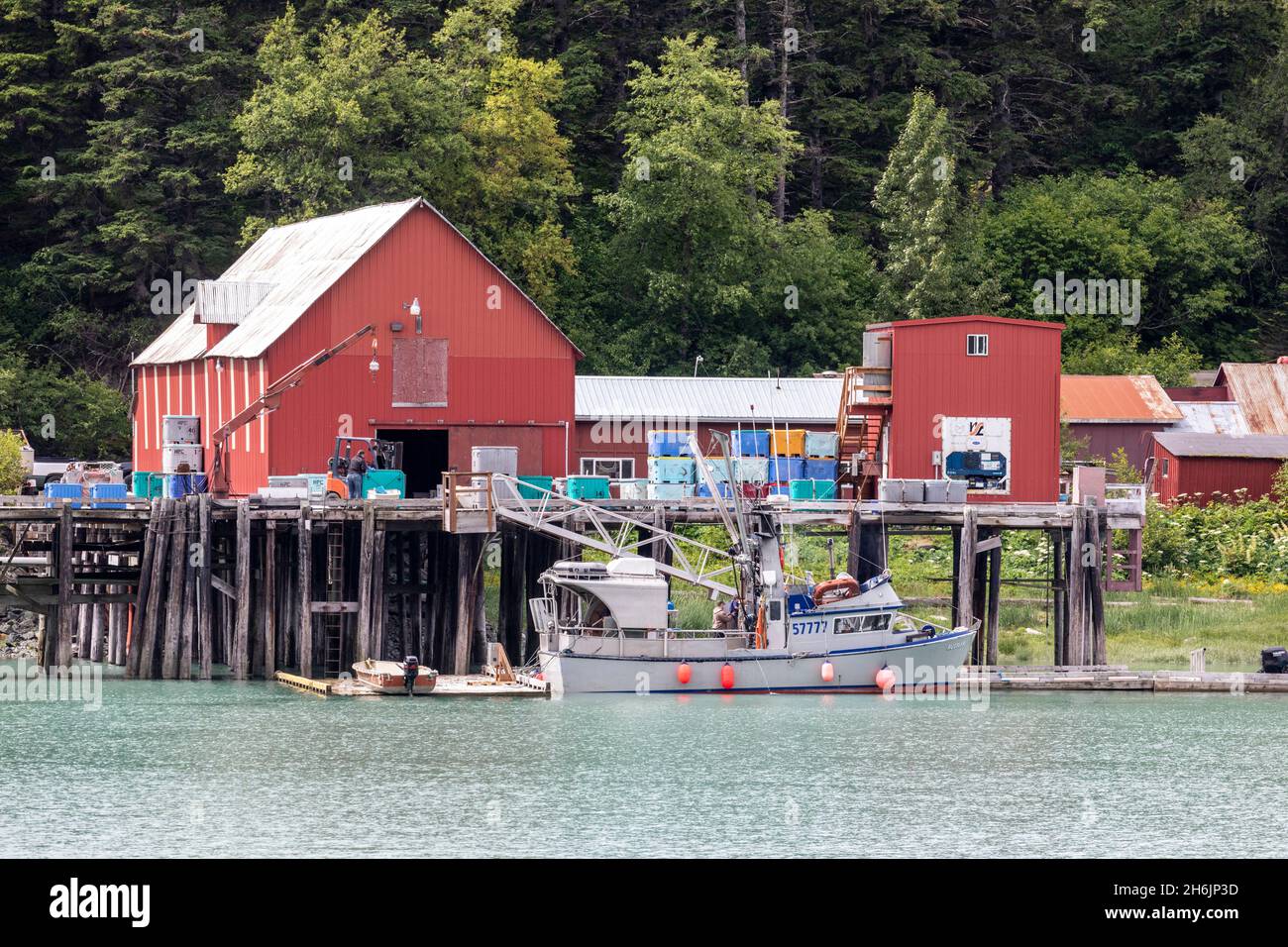 Fischverarbeitungsanlage in der Nähe des Chilkat River, Haines, Southeast Alaska, USA, Nordamerika Stockfoto