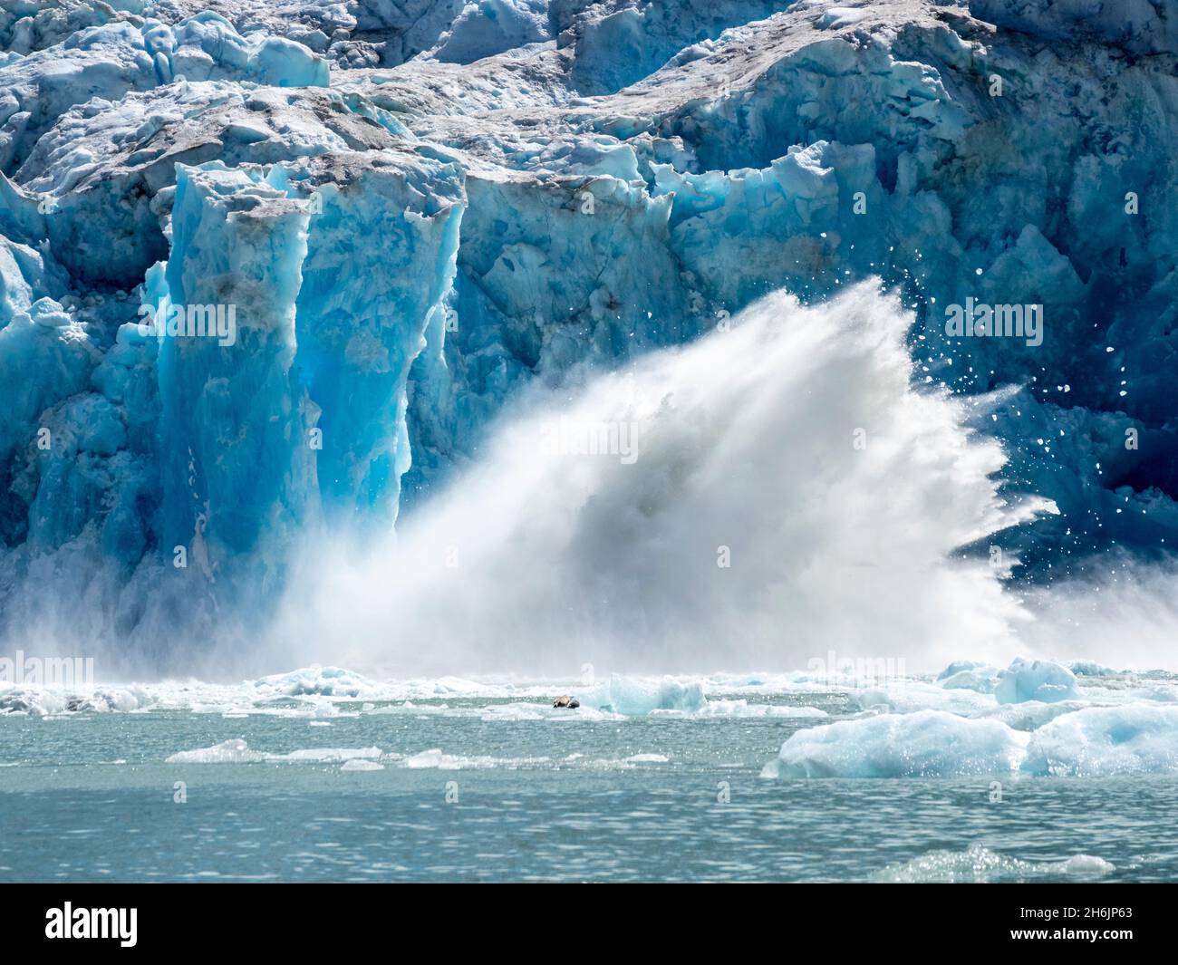 Das Gesicht des Gletschers, der auf dem South Sawyer Glacier, Tracy Arm, Southeast Alaska, United States of America, North America abkalbt Stockfoto