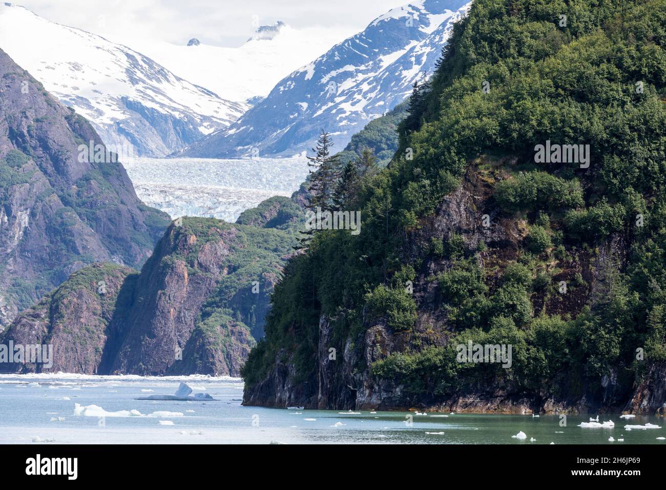 Der South Sawyer Glacier, Tracy Arm, Southeast Alaska, Vereinigte Staaten von Amerika, Nordamerika Stockfoto