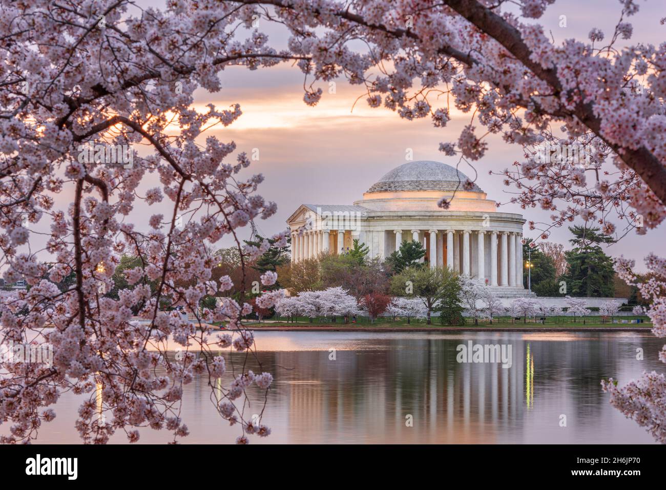 Washington DC, USA an der Jefferson Memorial und Tidal Basin im Frühling Saison. Stockfoto