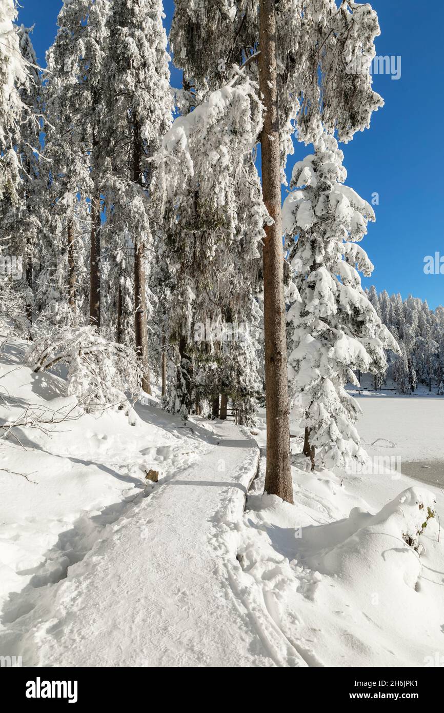 Mummelsee im Winter, Schwarzwald, Baden-Württemberg, Deutschland, Europa Stockfoto