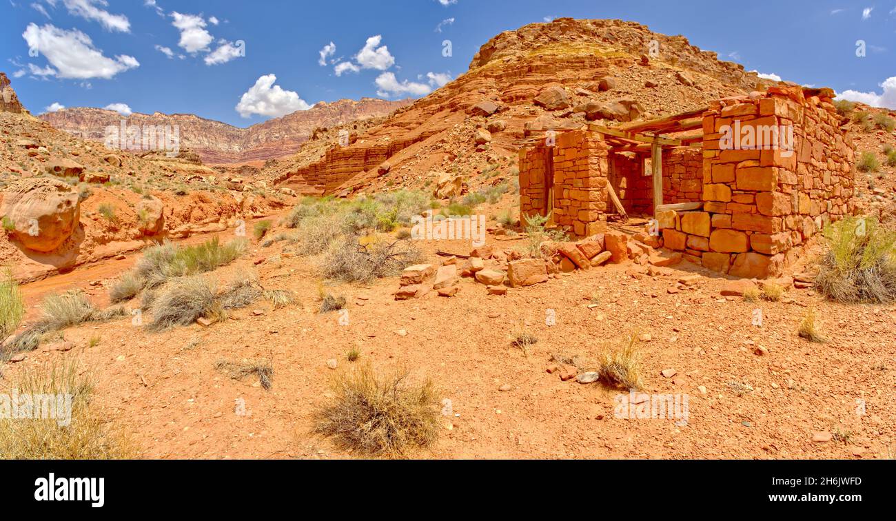 Pioneer Ruins am Soap Creek im Vermilion Cliffs National Monument, Arizona, Vereinigte Staaten von Amerika, Nordamerika Stockfoto
