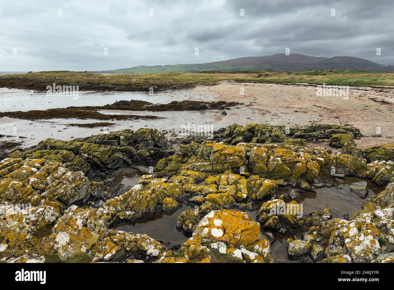 Carrick Beach, in der Nähe von Kirkcudbright, Dumfries and Galloway, Schottland, Vereinigtes Königreich, Europa Stockfoto