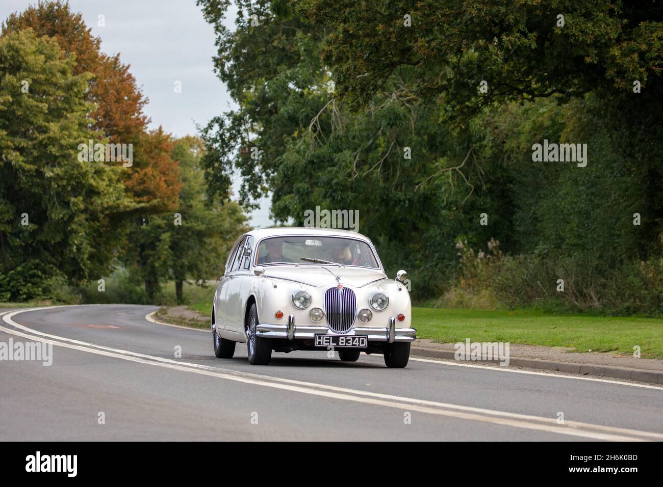 Jaguar Oldtimer 1966 Stockfoto