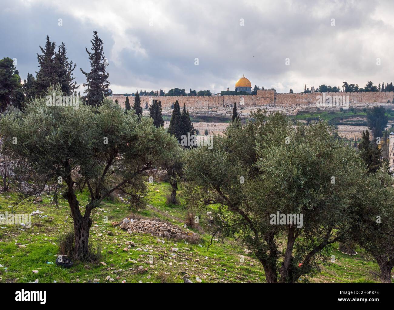 Cityscape of Jerusalem seen from the real Garden of Gethsemane Stockfoto