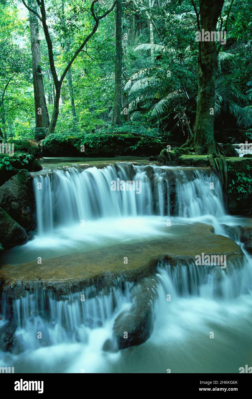 Wasserfall Als Bokkharani National Park Thailand Stockfoto