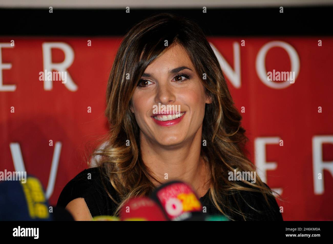 Wien, Österreich. 11. Februar 2015. Opernball-Stargast Elisabetta Canalis bei einer Pressekonferenz im Lugner Cinema Stockfoto
