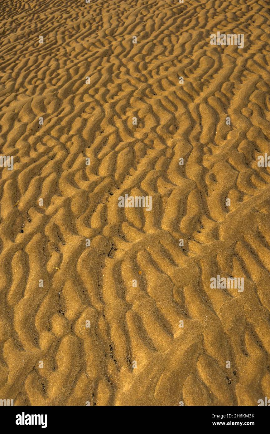 Nahaufnahme von Sandkräuseln, die Muster im Sand bilden Stockfoto