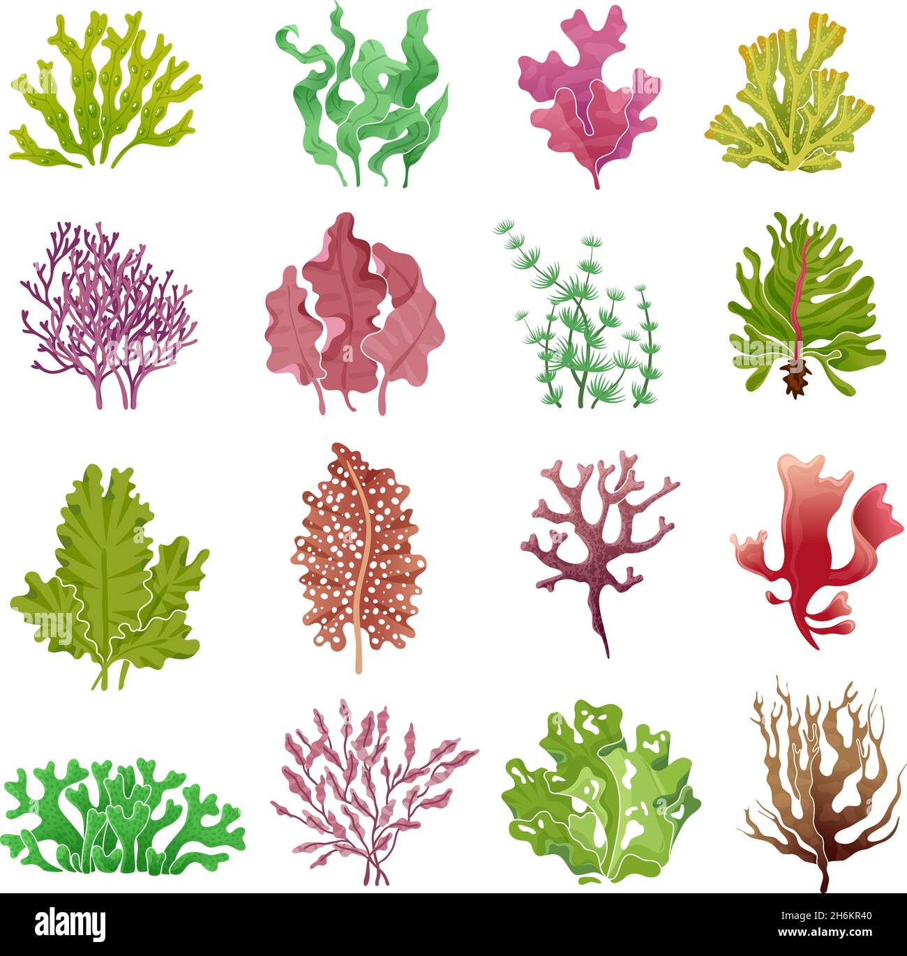 Seegras-Set. Meerespflanzen, Meeresalgen und Aquariumseetang. Unterwasser Algen Vektor isolierte Sammlung Stock Vektor