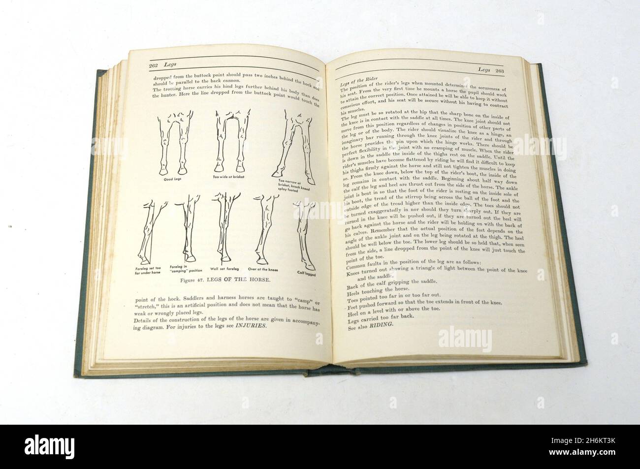 Altes Pferdebuch , das Reiters enciclopedia von Margret Cabell Self 1946 Stockfoto