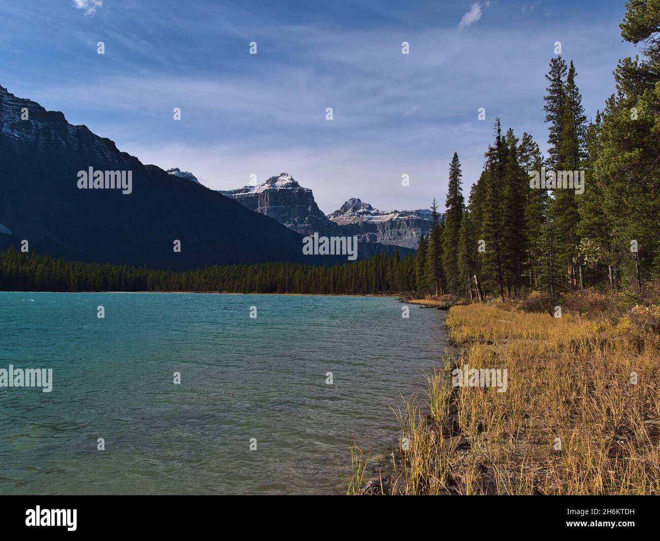 Atemberaubende Landschaft mit Wasservögeln See im Banff National Park, Alberta, Kanada in den Rocky Mountains in der Herbstsaison mit gelbem Gras. Stockfoto