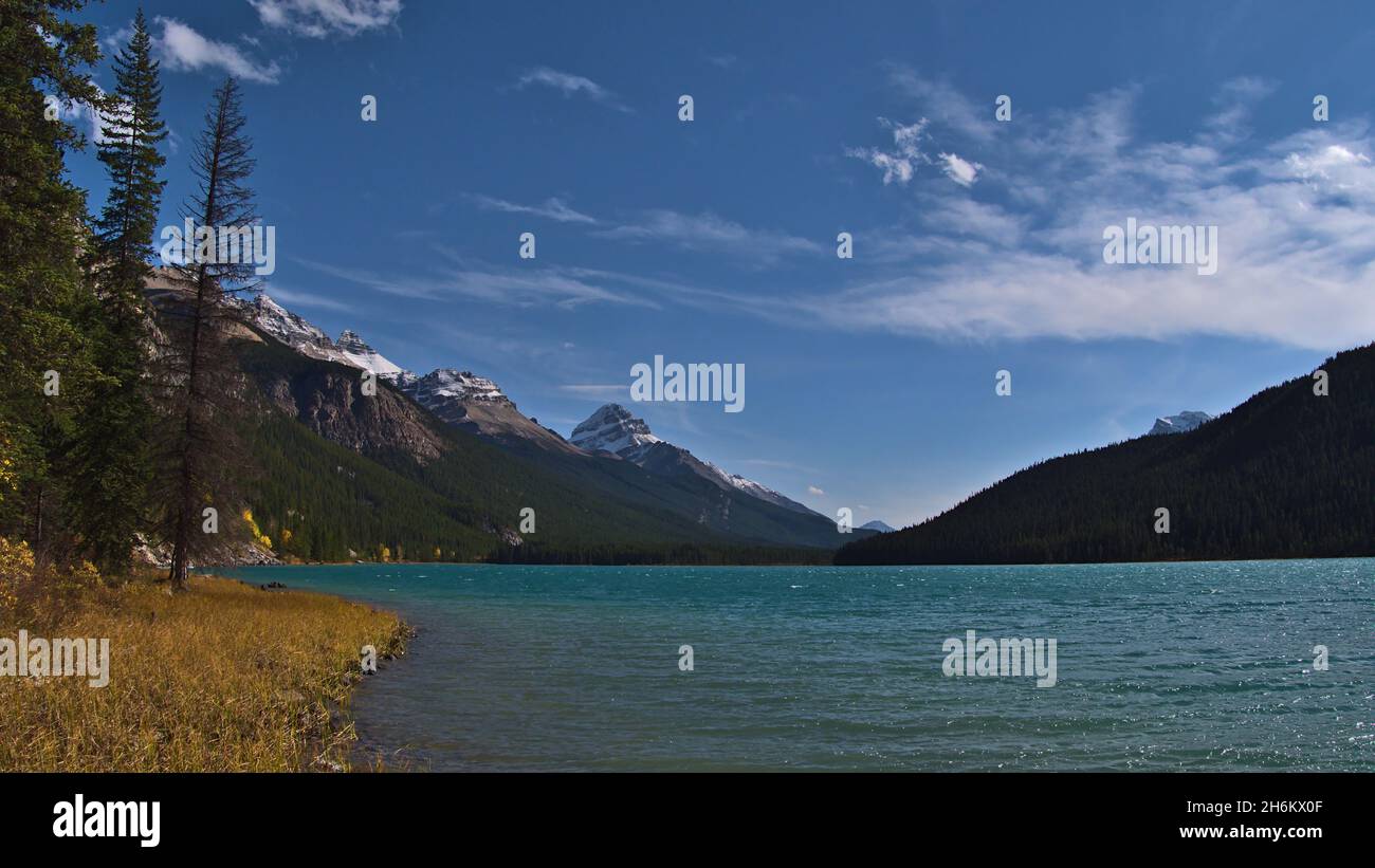 Wunderschöner Blick auf den Waterfowl Lake im Banff National Park, Alberta, Kanada, mit türkis schimmerndem Wasser, gelbem Gras und schneebedeckten Rocky Mountains. Stockfoto