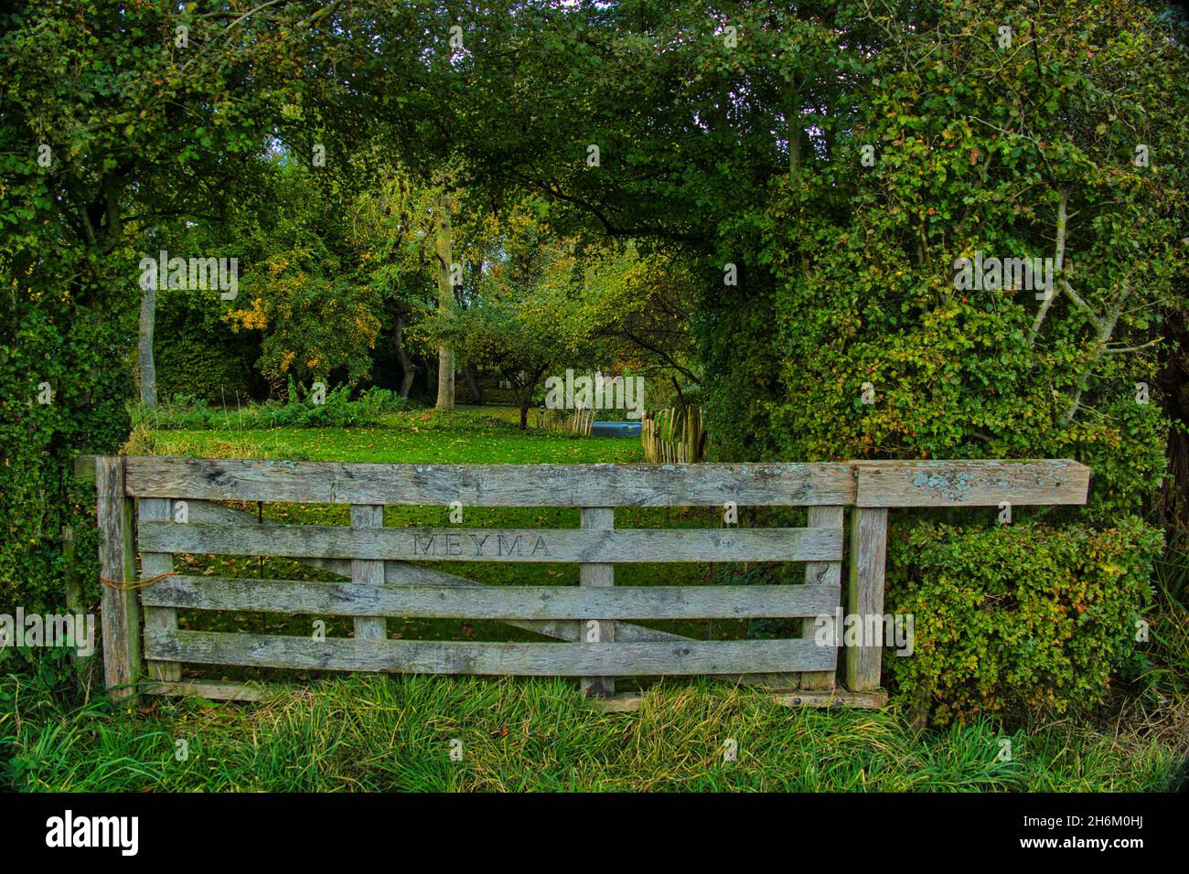 Verwitterte alte traditionelle hölzerne Farm Tor, flankiert von grünen Bäumen und Sträuchern, bietet einen Durchsehen zu einer schönen Wiese, flankiert von Bäumen. Stockfoto