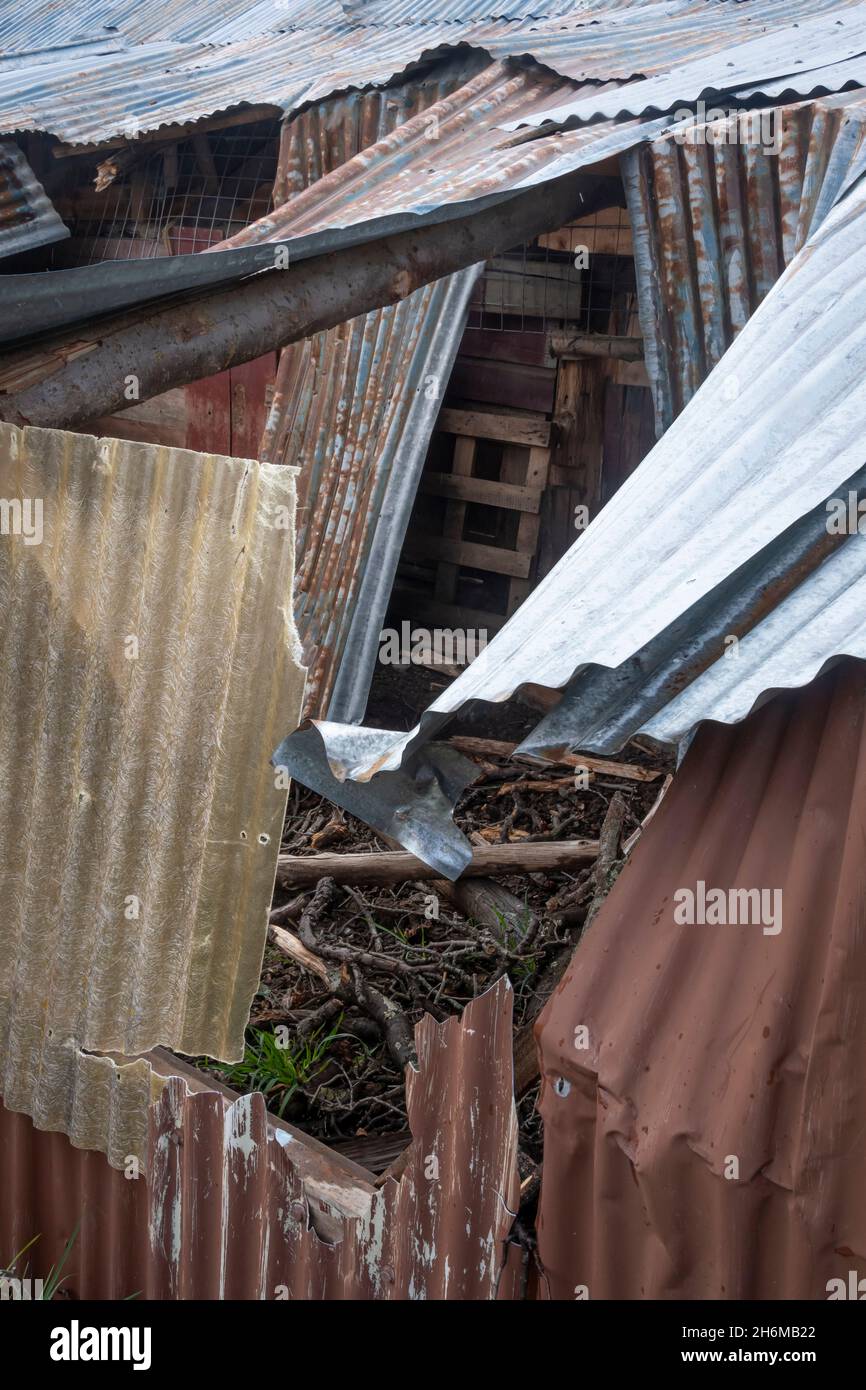 Derelict Barn, Qualburn, South Canterbury, South Island, Neuseeland Stockfoto