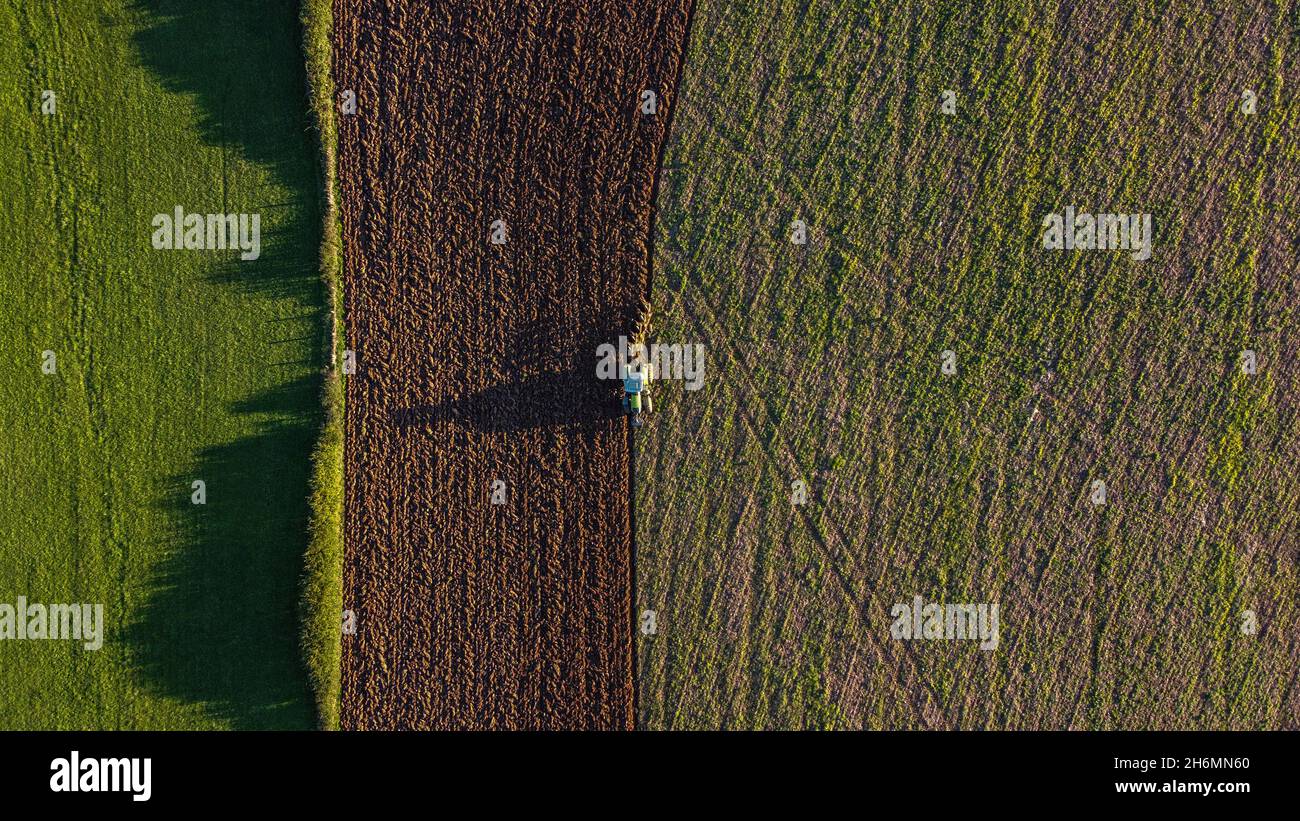 Luftdrohne Birdseye Perspektive eines Erntevollers während der Sommerernte in Südfrankreich. Stockfoto