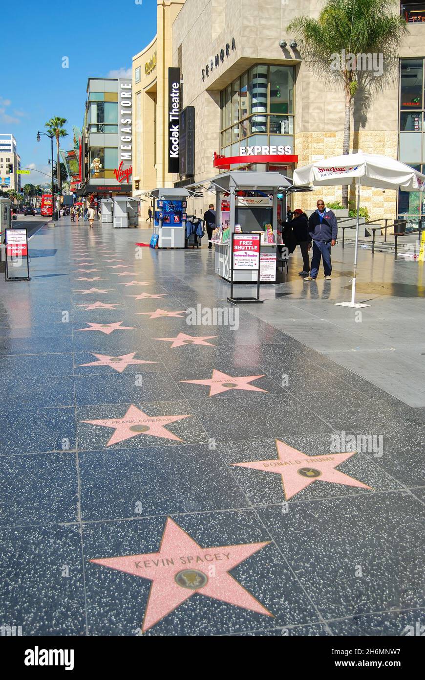 Hollywood Walk of Fame, Hollywood Boulevard, Hollywood, Los Angeles, California, Vereinigte Staaten von Amerika Stockfoto