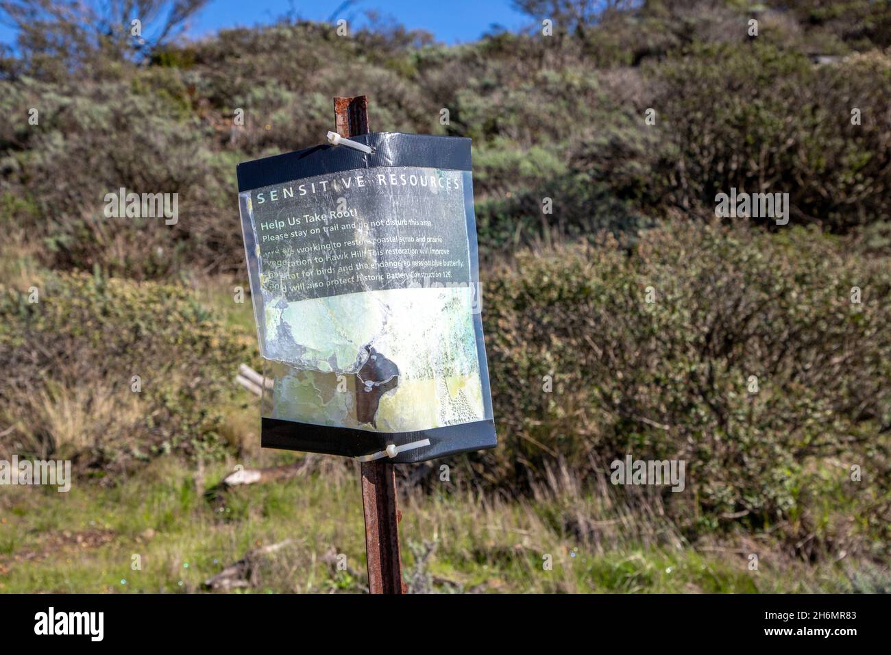 Marin Headlands ist ein wunderschönes Naturgebiet auf der Küstenhalbinsel von Marin County, Kalifornien. Es liegt gegenüber dem Golden Gate von San Francisco. Stockfoto