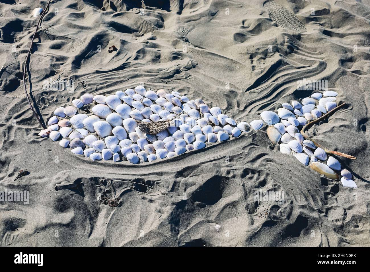 Fischform aus Muscheln am Strand Stockfoto