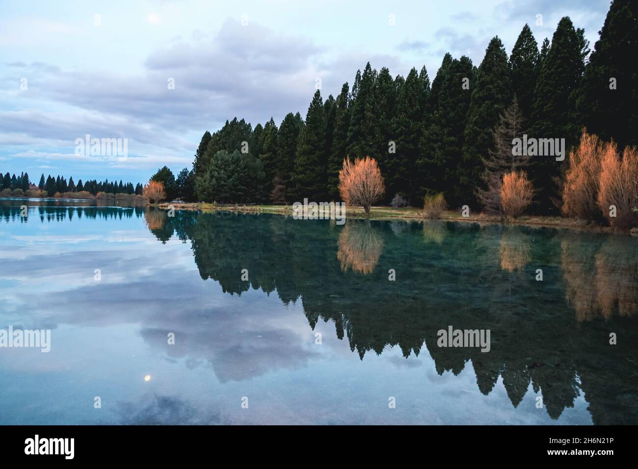 Bäume in ruhiger See reflektiert Stockfoto