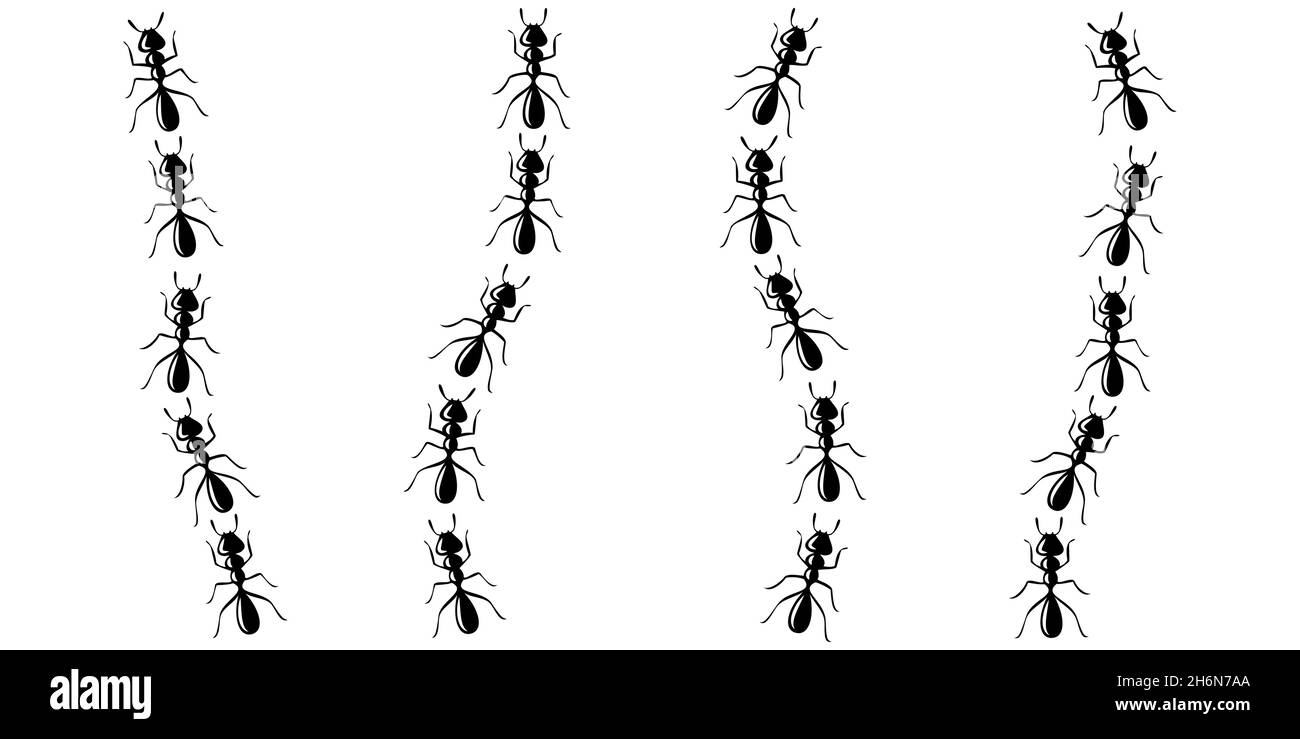 Ameisen marschieren auf der Spur und suchen nach Essen. ANT-Pfad auf weißem Hintergrund isoliert. Vektorgrafik Stock Vektor