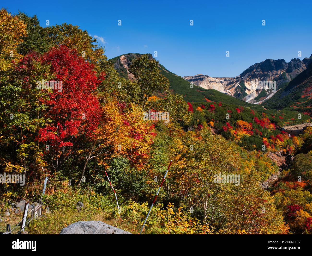 Herbstlaub, Tokachidake Onsen, Hokkaido, Japan Stockfoto