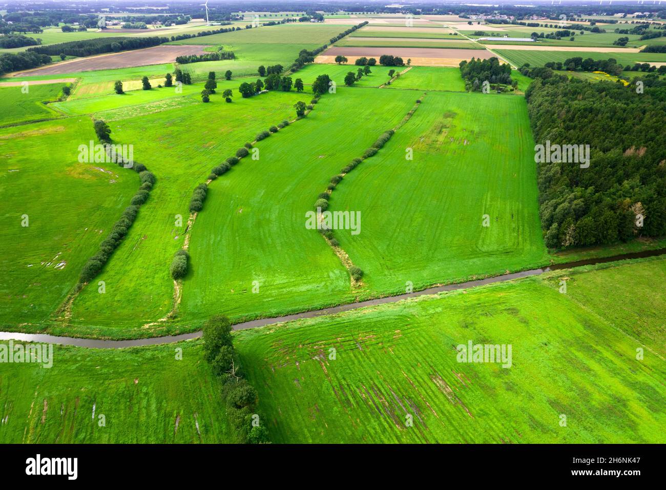 Mittelradde Luftaufnahme, Fluss eingebettet in die landwirtschaftliche Kulturlandschaft, Drohnenaufnahme, Niedersachsen, Deutschland Stockfoto