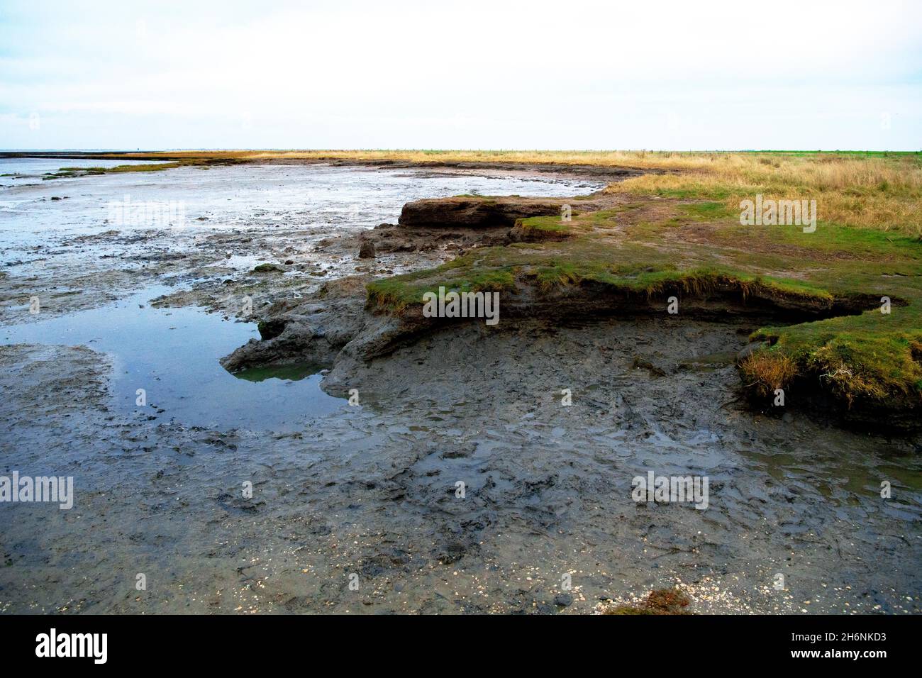 Naturstrand mit direktem Übergang ins Wattenmeer, Küste im Übergang vom Klimawandel, Abbruchkante, Landverlust, Hilgenriedersiel, Lower Stockfoto