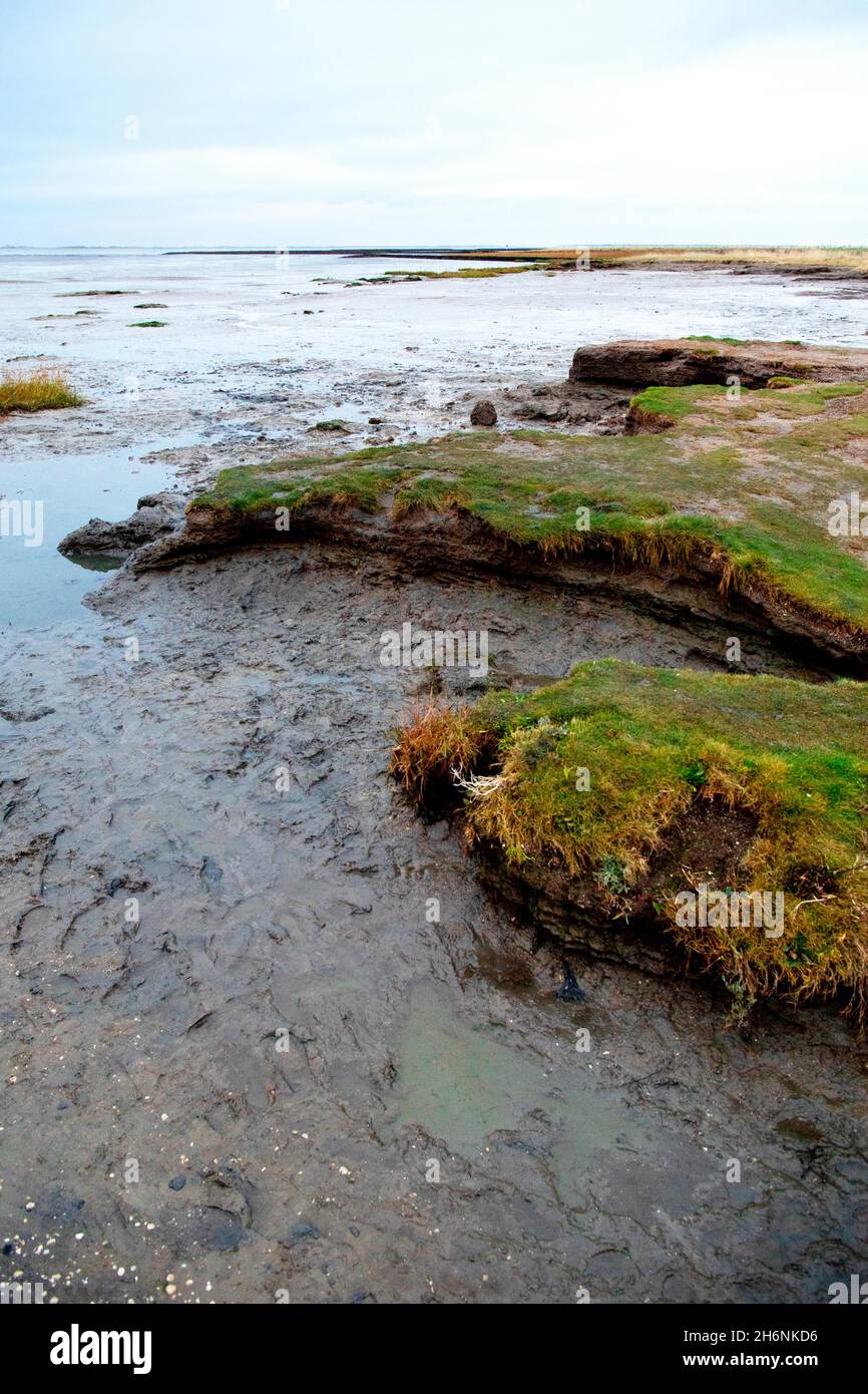 Naturstrand mit direktem Übergang ins Wattenmeer, Küste im Übergang vom Klimawandel, Abbruchkante, Landverlust, Hilgenriedersiel, Lower Stockfoto