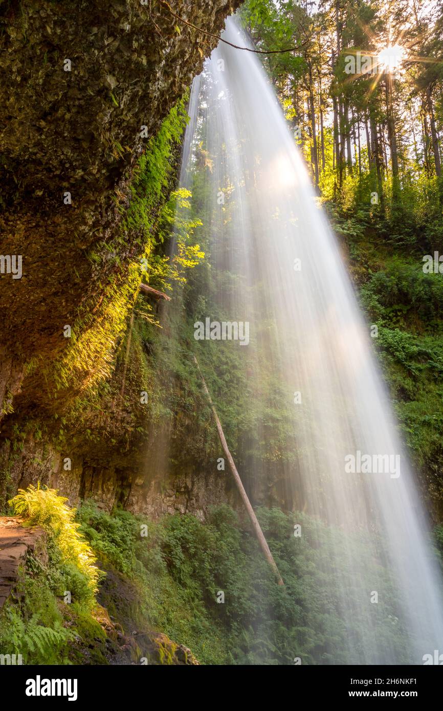 South Falls im Silver Falls State Park, Oregon Stockfoto