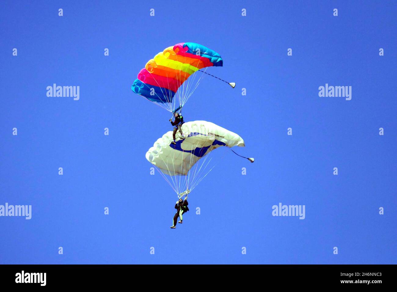 ODESA, UKRAINE - 16. NOVEMBER 2021 - zwei Teilnehmer führen während des Fallschirmsprungs-Wettkampfes im Odesa Flying Club, Odesa, so, eine Baldachin-Formation durch Stockfoto