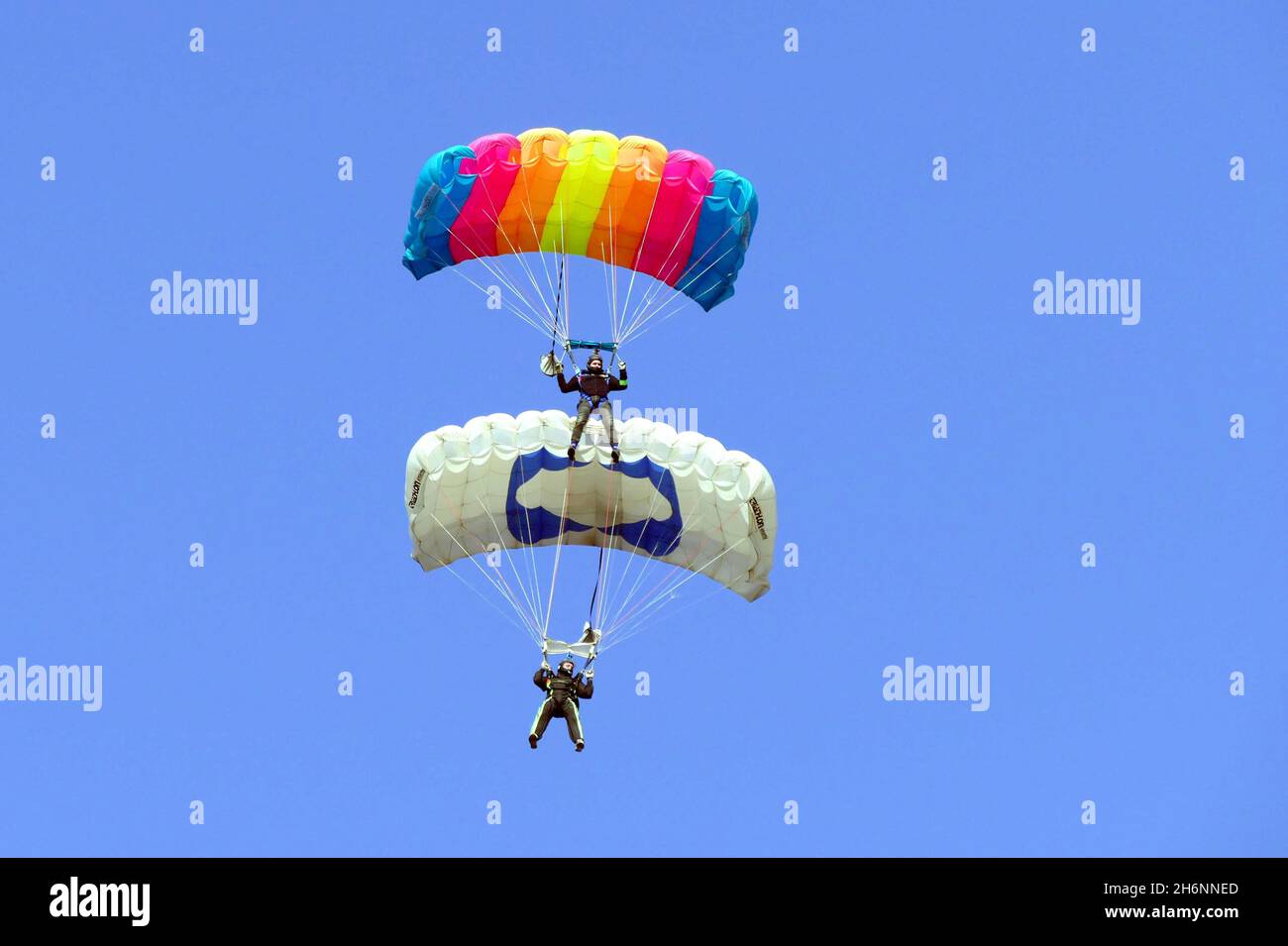 ODESA, UKRAINE - 16. NOVEMBER 2021 - zwei Teilnehmer führen während des Fallschirmsprungs-Wettkampfes im Odesa Flying Club, Odesa, so, eine Baldachin-Formation durch Stockfoto