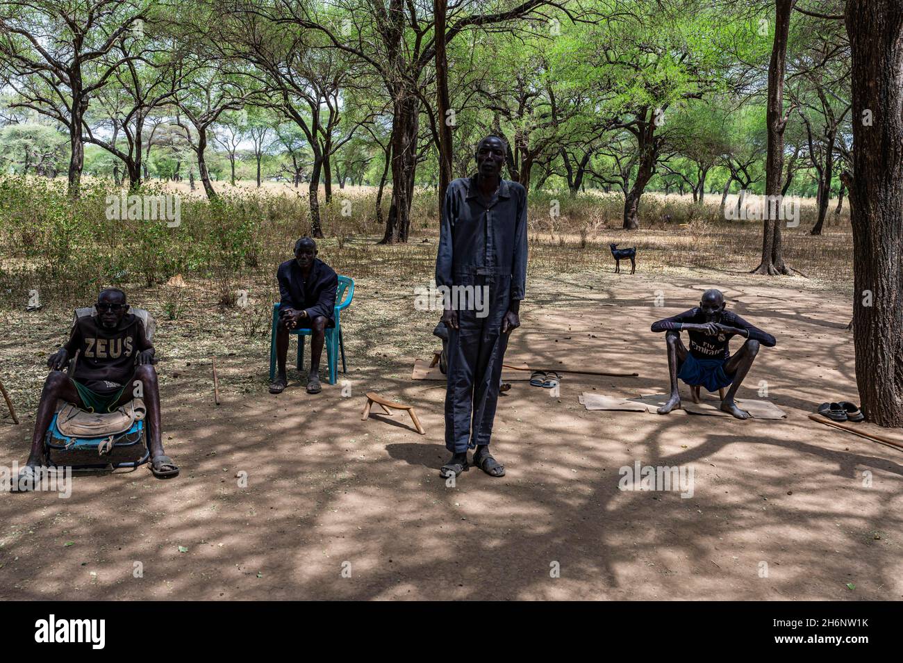 Older des Stammes Toposa haben ein Wiedersehen unter den Bäumen, Eastern Equatoria, Südsudan Stockfoto