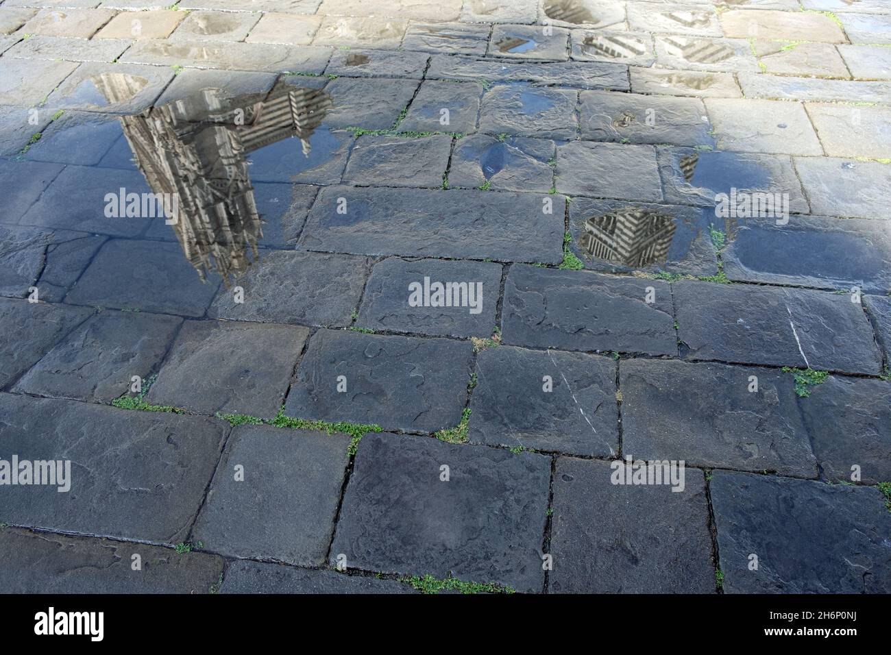 Cattedrale di Siena di Santa Maria Assunta, Toscana, Italia Stockfoto