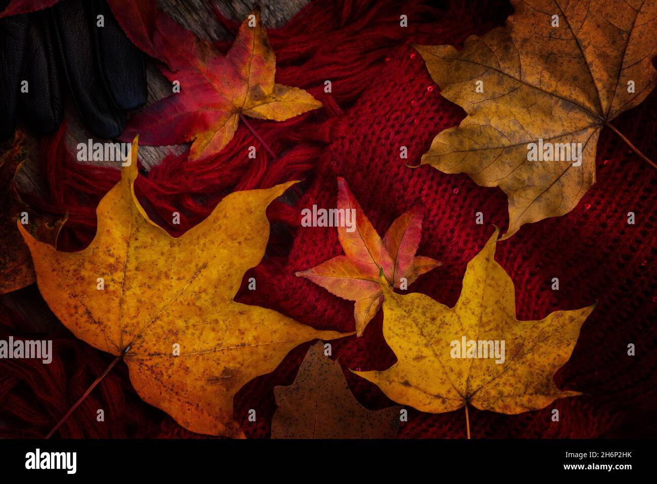 Herbst / Herbst Mode. Pullover und Schal aus dicker Wolle mit vereinzelten, heruntergefallenen Blättern. Saisonaler Wechsel. Kaltes/kühles Wetter. Stockfoto