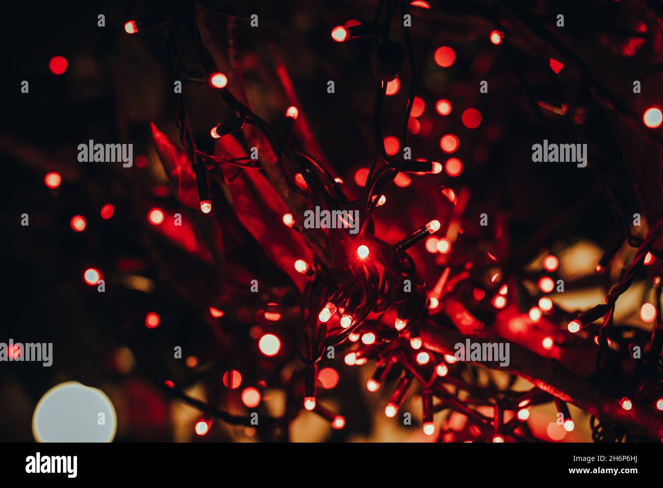 Rot brennende Girlande leuchtet in der Dunkelheit des Abends. Bokeh-Hintergrund Stockfoto