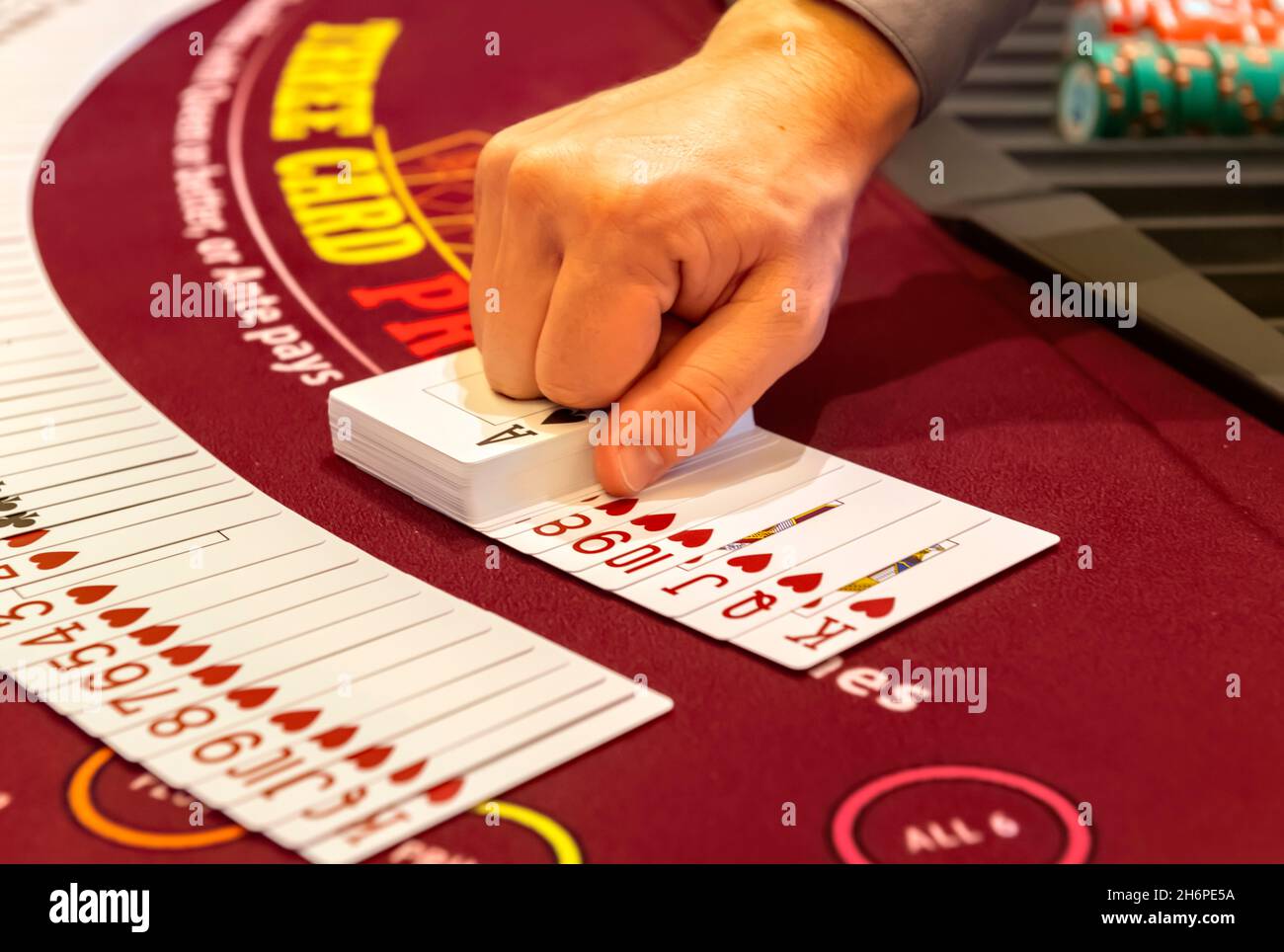 Poker Dealer mit zwei Kartendecks Stockfoto