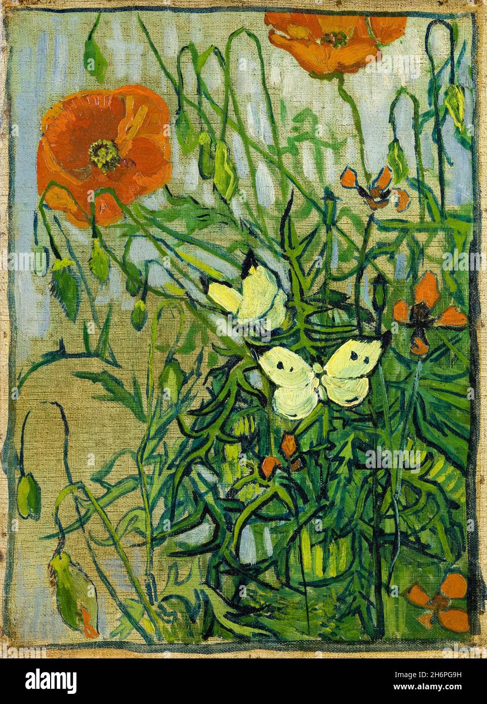 Vincent van Gogh, Schmetterlinge und Mohnblumen, Gemälde, 1889 Stockfoto