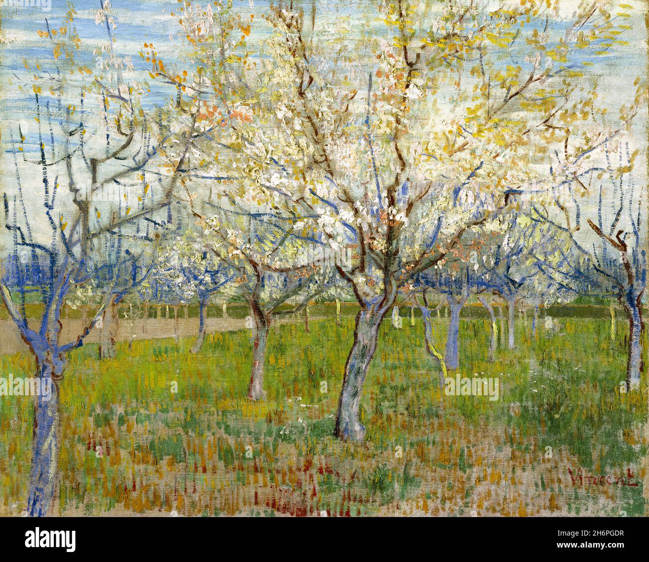 Vincent van Gogh, der rosarote Obstgarten, Gemälde, 1888 Stockfoto
