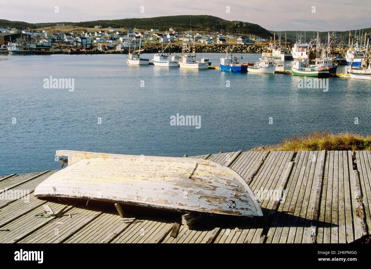 Boote in Bonavista Harbour, Bonavista, Neufundland und Labrador, Kanada Stockfoto