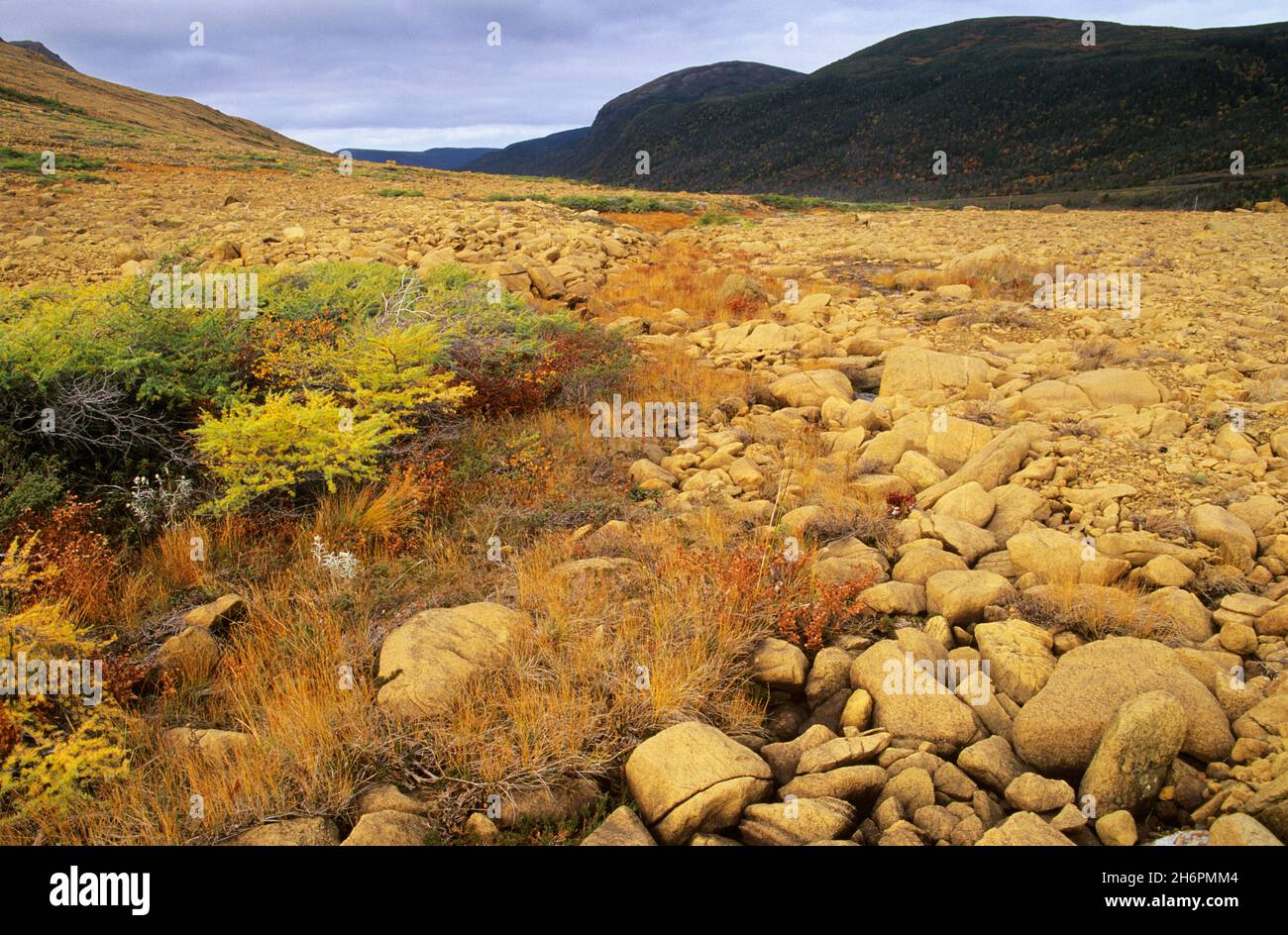Gros Morne National Park, Neufundland, Kanada Stockfoto
