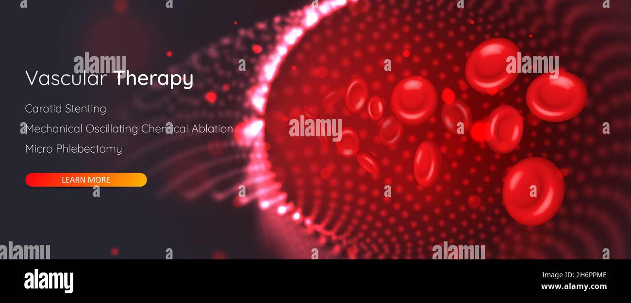Rote Blutkörperchen in einer Arterie. Vaskuläres Therapiekonzept. Darstellung von Blutvenen und Blutgefäßen. Stock Vektor