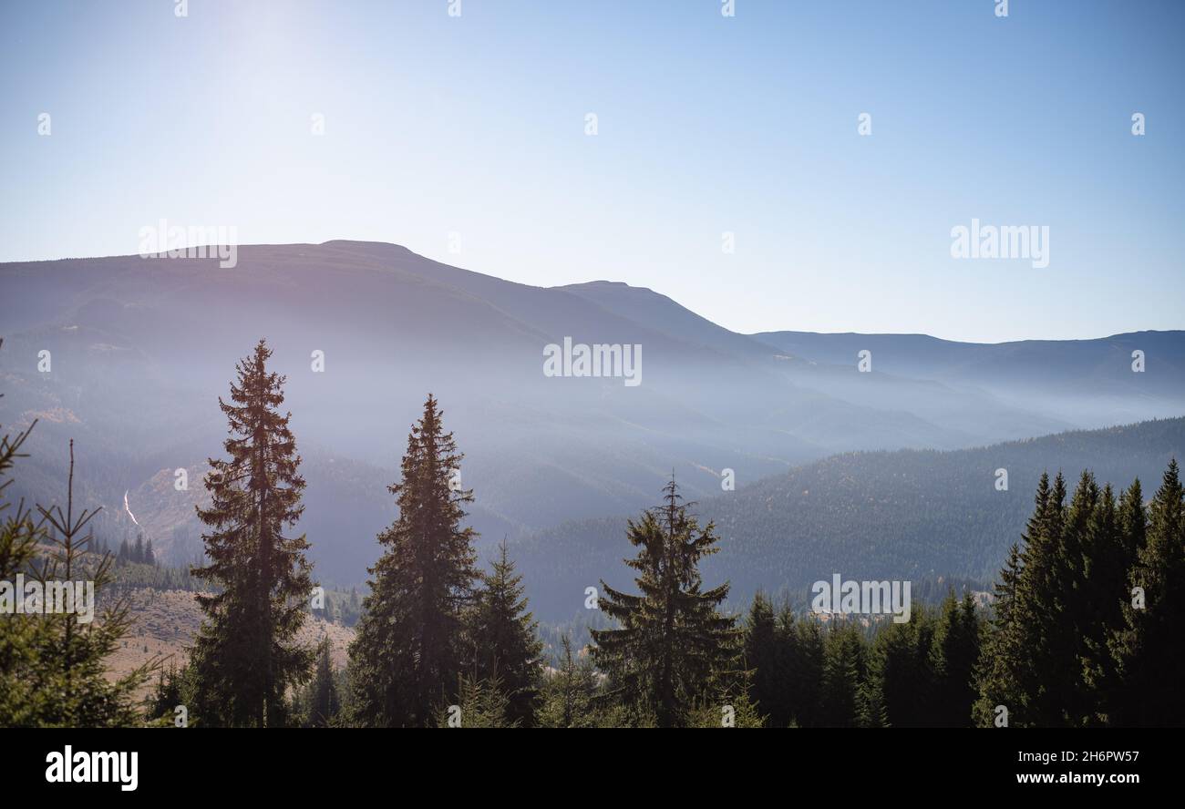 Wunderschöne Aufnahme des Nebels, der die Berge im Hintergrund der Bäume auf dem Hochland bedeckt Stockfoto