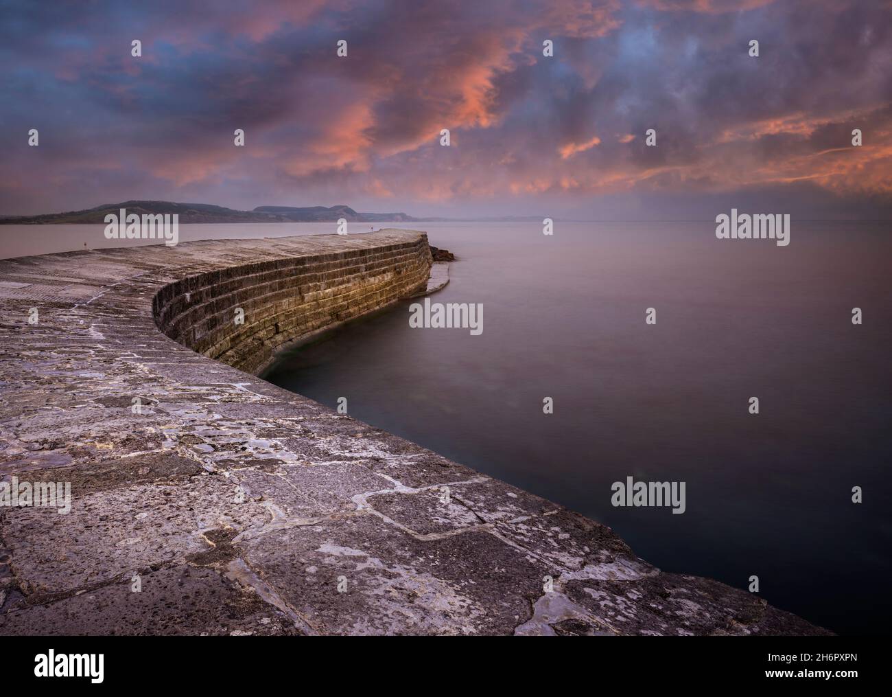 Lyme Regis Sunset at the Cobb Lyme Regis Dorset England GB Europa Stockfoto