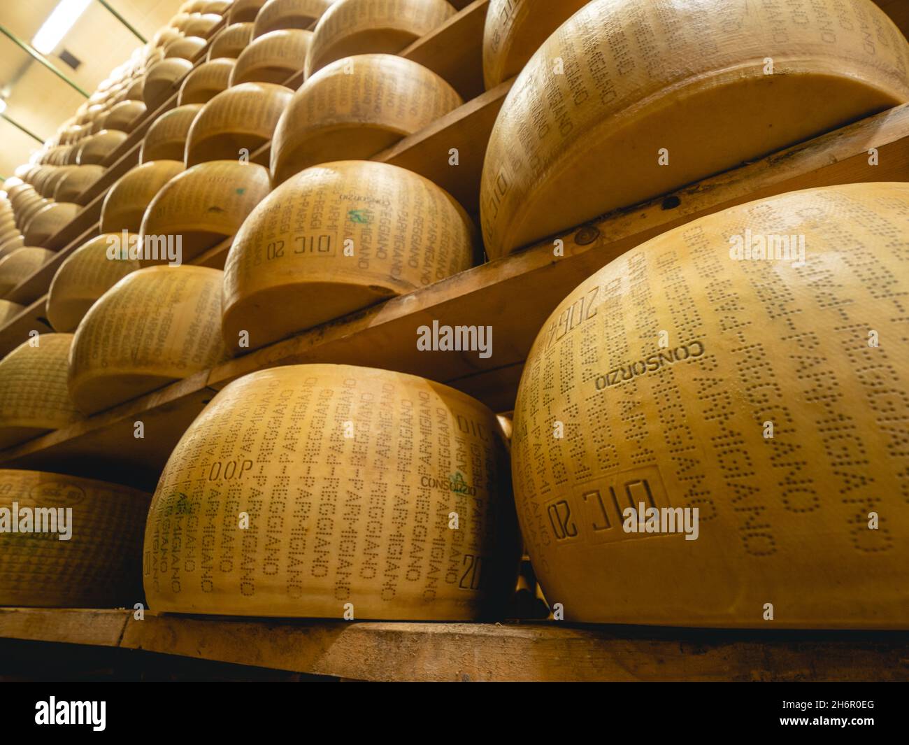 parmesan Parmigiano Reggiano Käserad reift in der Tagebuchproduktion Lagerung in einer besonderen Atmosphäre in Parma Italien Stockfoto