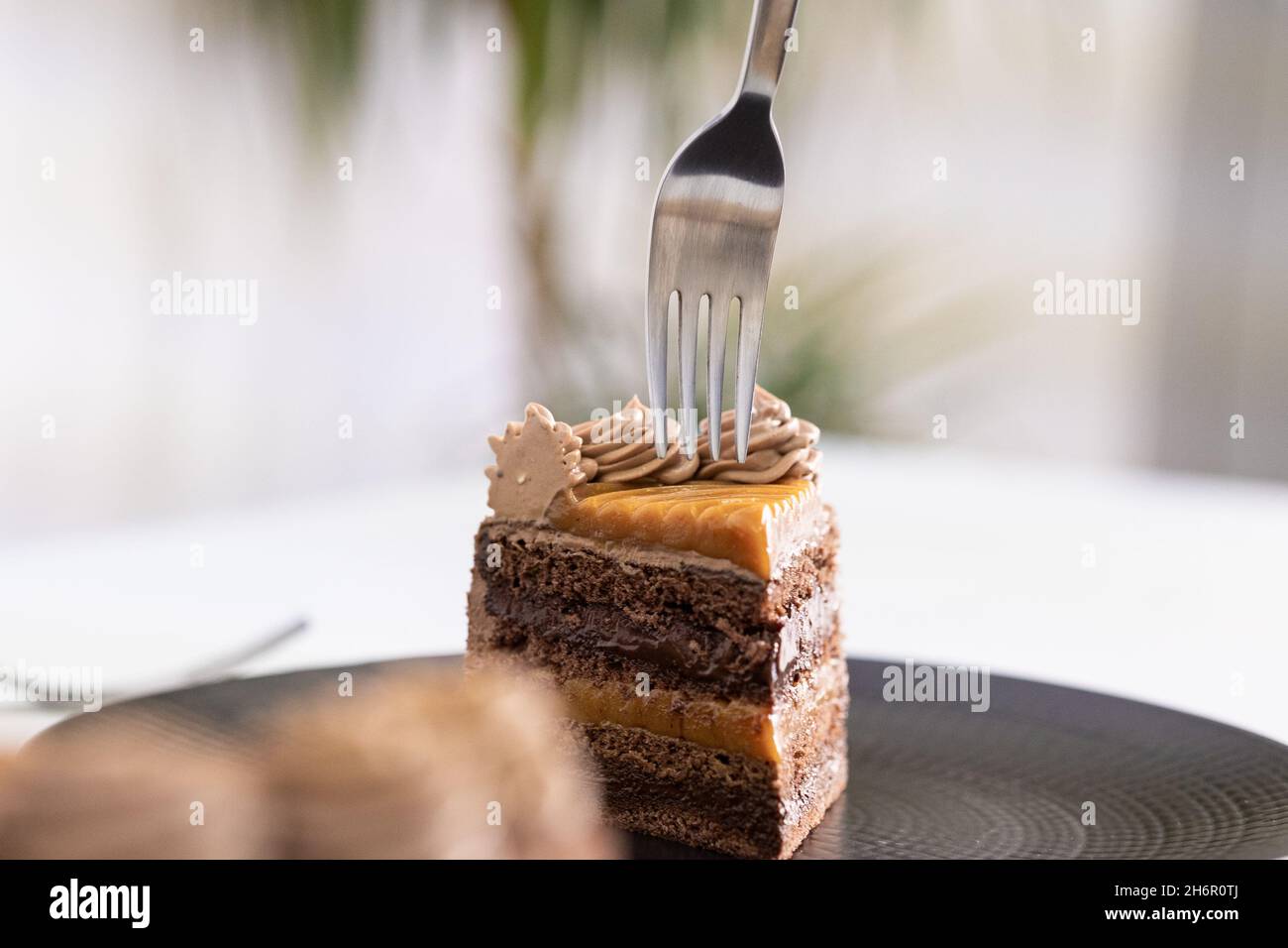 Leckeres Stück Kuchen auf schwarzem Teller. Stockfoto