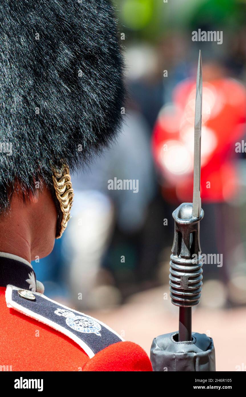 Grenadier Guards kleiden Uniform. Wächter der britischen Armee während der Zeremonie der Farbtrooping in der Mall 2013, mit Gewehr-Bajonett Stockfoto