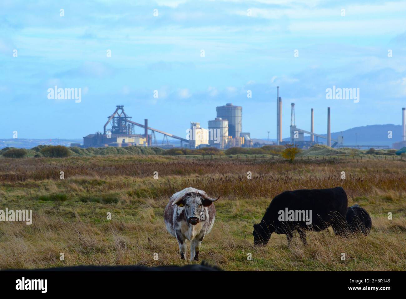 Blick über Tees Bay auf Teesworks, die ehemalige Redcar Steelworks, Teesside Freeport und die zukünftige Net Zero Teesside Power and Carbon Capture Site. Stockfoto