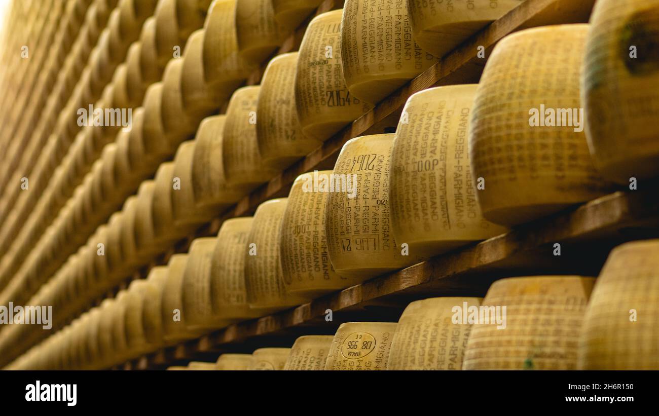 parmesan Parmigiano Reggiano Käserad reift in der Tagebuchproduktion Lagerung in einer besonderen Atmosphäre in Parma Italien Stockfoto