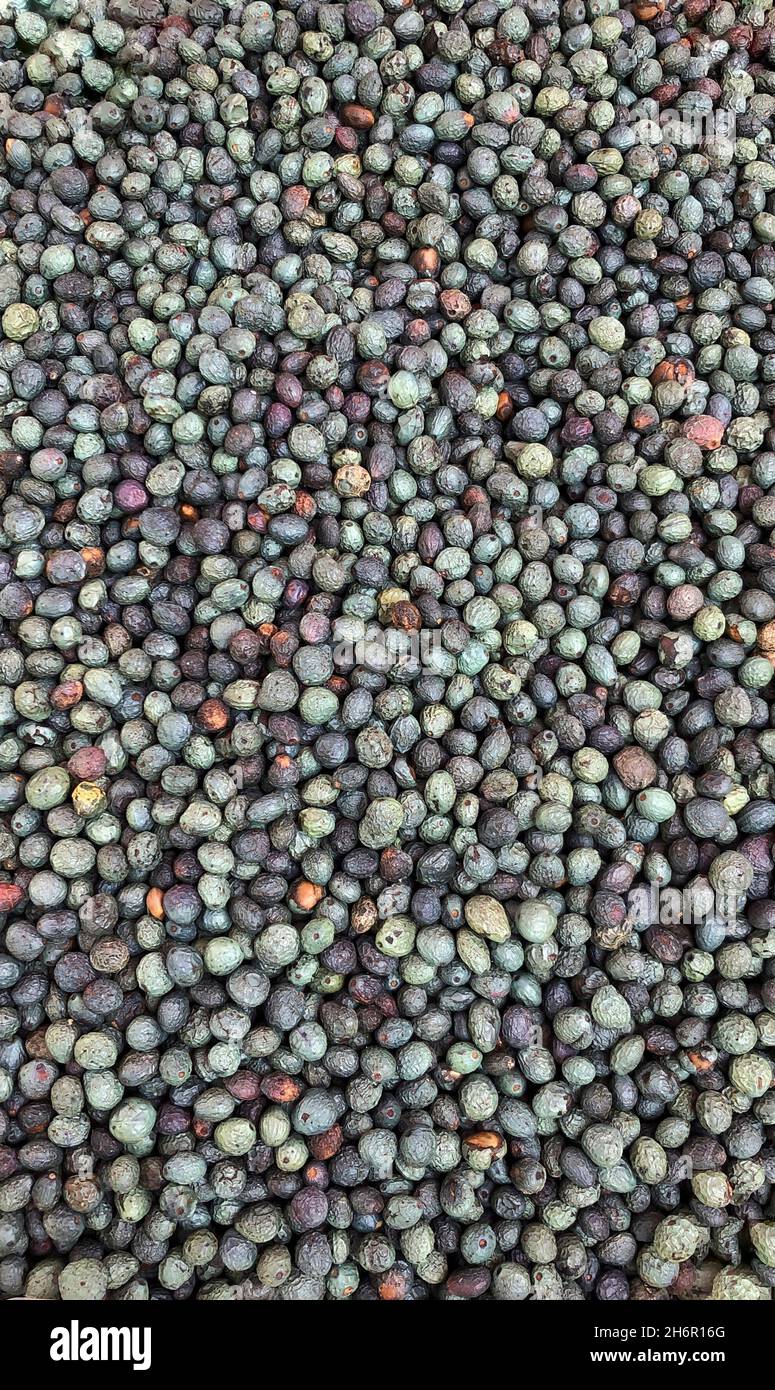 Haufen Terebinth Beeren als Hintergrund Stockfoto