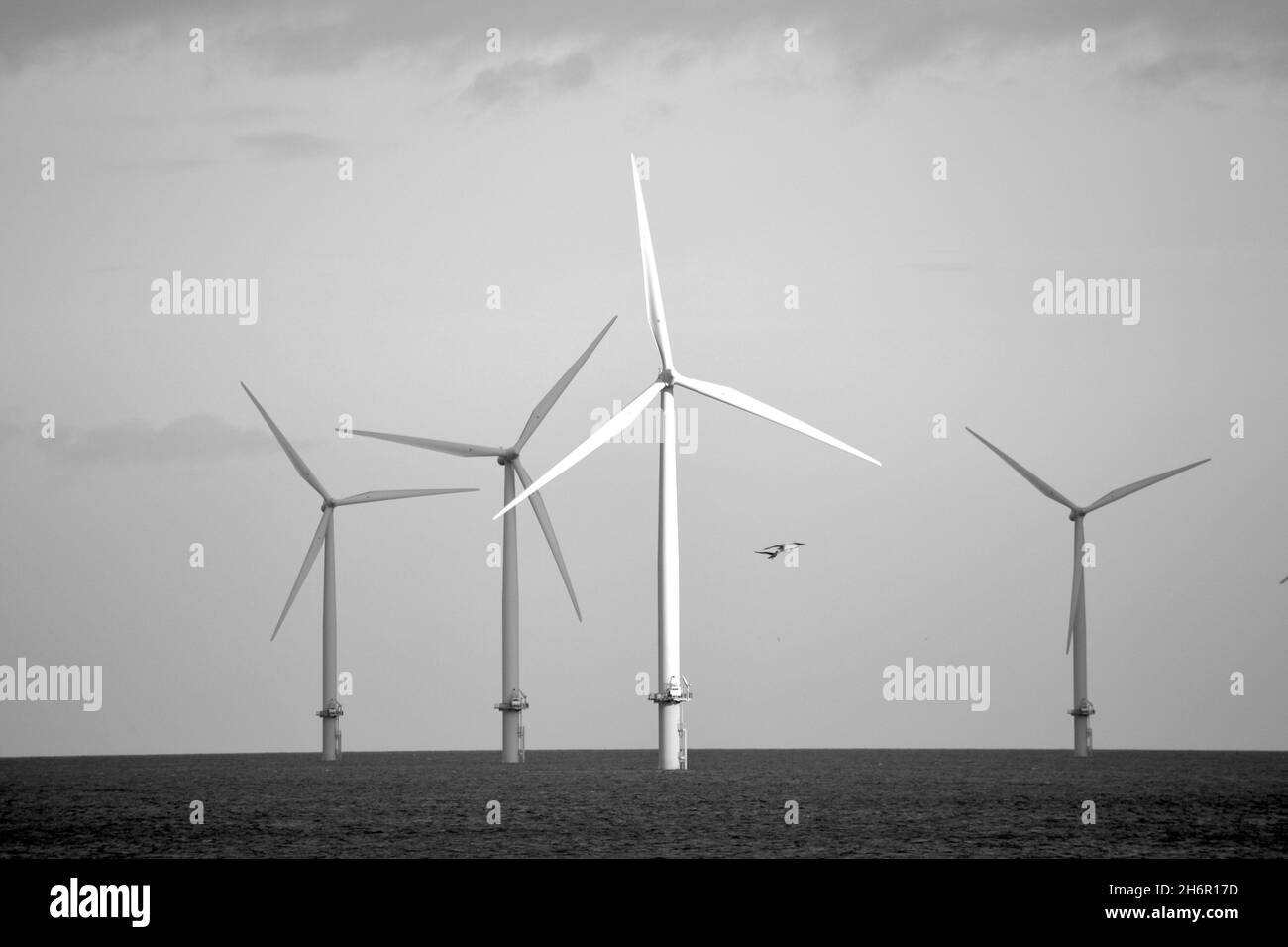 Natürlich beleuchtetes Schwarz-Weiß-Bild des Teesside Wind Farm, aufgenommen vom North Gare, Hartlepool, mit Blick in Richtung Nord- und Südbahnhof. Stockfoto